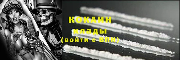 шишки Баксан