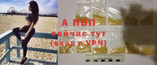 шишки Баксан