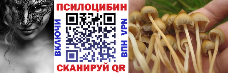 Псилоцибиновые грибы мухоморы  купить наркотики сайты  Чайковский 